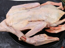 大鵝生鮮鵝肉 大白鵝農家散養新鮮冷凍凈膛老鵝正宗 8-9斤 曬單實(shí)拍圖