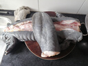 從都園順豐包郵娃娃魚(yú)活體生鮮大鯢海鮮水產(chǎn)鮮活淡水魚(yú)肉質(zhì)鮮美3-18斤 一條15斤 曬單實(shí)拍圖