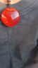 T&U青魚(yú)石廠(chǎng)家直供保真青魚(yú)石吊墜 防驚嚇 寶寶大人老人佩戴 J14-L15-青魚(yú)石10-12克款 曬單實(shí)拍圖