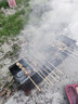 兩歲下天山新疆羊肉串草地乳羔羊生鮮羊排羊蝎子羊腿半只羊烤全羊送禮 新疆紅柳羊肉串20串-送烤爐 曬單實(shí)拍圖