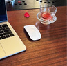 天際流【官方同款】適用apple/蘋果鼠標(biāo)無線藍(lán)牙辦公靜音Magic妙控三代MacBook筆記本電腦air/ipad可充電 【妙控鼠標(biāo)-蘋果白】MFI質(zhì)量認(rèn)證原版多點(diǎn)觸控 適用二三代無線鼠標(biāo)Mous 曬單實(shí)拍圖