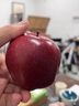 昭通黑卡黑鉆蘋果水果9斤黑鉆紅蛇果新鮮當季脆甜冰糖心平果5包郵 3斤 60mm-65mm 曬單實拍圖