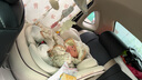 貝比恩兒童安全座椅嬰兒車載汽車用寶寶新生小月齡0到2-12歲通風(fēng)可坐躺 PLUS白月光+支撐腿+isize+注塑 曬單實拍圖