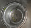 焜燁 廚房水槽過濾網(wǎng)水池下水道垃圾濾網(wǎng)不銹鋼洗碗池菜盆漏斗防堵提籠 【304不銹鋼】大號提手細(xì)網(wǎng)14cm（1個裝） 曬單實拍圖