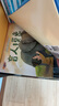 成語故事繪本【全20冊】兒童幼兒成語故事書注音版3-6-8歲小學生一二三年級閱讀必讀課外書帶拼音讀物幼兒園早教繪畫書（4-8歲） 曬單實拍圖
