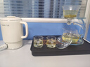 清韻逸品透明玻璃功夫茶具套裝自動(dòng)磁吸泡茶器懶人耐熱茶杯茶壺辦公室會(huì)客 登高(透明)+簡(jiǎn)予杯(透明)6個(gè) 曬單實(shí)拍圖