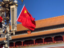 多格漫多格漫cattysalon愛(ài)貓除毛針布刷除掉毛/結節附帶清潔梳梳毛 彎角梳1個(gè) 1個(gè) 曬單實(shí)拍圖