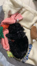 田諾寵物用品貓狗牽引繩泰迪博美小型犬貓咪狗繩子幼犬遛狗繩狗鏈背帶 隨機顏色 小號：繩寬1cm(2-6斤) 曬單實(shí)拍圖