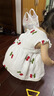 迪士尼寶寶女寶寶連衣裙吊帶裙夏裝新生兒韓版棉布裙子0-1-2-3歲嬰兒背心裙 小櫻桃 90 cm【12-24個月】(90cm【12-24 曬單實拍圖
