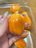 澤鮮達海南黃肉菠蘿蜜一整顆 應季樹(shù)上熟新鮮水果一整個(gè)紅心波羅蜜整箱 2斤純果肉 曬單實(shí)拍圖