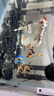 云峰海瑞 小型熱帶魚觀賞魚活體紅綠燈魚淡水水族魚寵物虎(四間魚)皮魚 虎(四間魚)皮魚10條 曬單實(shí)拍圖