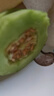 隴百味頭茬羊角蜜甜瓜新鮮水果孕婦當季脆甜蜜瓜脆瓜香瓜羊角脆整箱 5斤裝頭茬羊角蜜凈重4.5斤(單果200g+) 曬單實(shí)拍圖