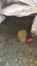 全福鯉 戶(hù)外錦鯉魚(yú)池過(guò)濾器大型水循環(huán)凈化系統304不銹鋼錦鯉池過(guò)濾設備 QL-3套餐適合0-2噸水包含水泵水管 曬單實(shí)拍圖