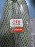 東升供港西葫蘆500g 云南小瓜 茭瓜白瓜角瓜 廣州新鮮配送 曬單實(shí)拍圖