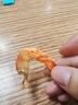 七月的海九節蝦干特大烤蝦干蝦斑節對蝦炭烤蝦竹節蝦即食海鮮干禮品年貨經(jīng)典蝦干 250g(凈重)  約36只 曬單實(shí)拍圖