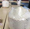 海南椰青新鮮椰子9個(gè)泰現(xiàn)摘去皮老椰超大水果國當(dāng)季特產(chǎn)整箱包郵 6個(gè)裝（單果900-1500g） 曬單實(shí)拍圖