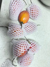 樹番茄新鮮洋酸茄大樹番茄云南特產(chǎn)蔬菜水果西紅柿樹蕃茄小番茄 【小果】500g（11個(gè)左右/斤） 曬單實(shí)拍圖
