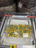 科小迪新款商用真空機大型干濕兩用全自動(dòng)封口機熟食打包機壓縮機塑封機熟食臘肉抽空機食品真空包裝機 KXD-420C豪華型 純銅芯工業(yè)大泵 曬單實(shí)拍圖