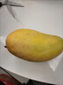 懿鮮匯海南金煌芒水仙大芒果現摘新鮮應季甜心芒熱帶孕婦水果年貨送禮 3斤裝【無(wú)禮盒】 【JD順豐-送貨上門(mén)】 曬單實(shí)拍圖