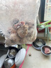 福茹洲羊眼新鮮羊眼羊眼羊腦子羊頭燒烤火鍋店 1斤羊眼 曬單實拍圖