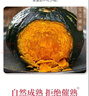 貓山禮【禮盒裝】正宗貝貝南瓜 精品板栗味小南瓜 粉糯香甜凈重4.5斤 5斤實惠裝 曬單實拍圖