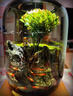 苔蘚微景觀生態(tài)瓶趣味造景綠植創(chuàng)意盆栽盆景魚缸好養(yǎng)活桌面臥室 小貓釣魚（煙灰色）+木質(zhì)底座燈 16*16*22（圓）/15*15*20（超白缸） 曬單實拍圖