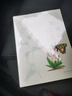 尋蝶筆記  發(fā)現城市中的蝴蝶家園  蝴蝶蛾類(lèi)的特征圖鑒圖解珍藏科普讀物指南野外觀(guān)蝶鳥(niǎo)蝴蝶文化與鑒賞家族生態(tài)圖解動(dòng)植物自然科普百科書(shū)籍 曬單實(shí)拍圖
