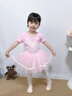 南瓜精靈兒童舞蹈服夏季女童練功服形體服芭蕾舞蓬蓬裙幼兒中國舞演出服裝 粉色【短袖】 105 （建議90-105cm22-25斤)） 曬單實拍圖