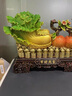 TICIFY百財(cái)大吉白菜擺件客廳入戶玄關(guān)電視柜裝飾品搬新家喬遷禮物 百財(cái)大吉白菜彩繪色 曬單實(shí)拍圖