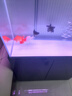 漢霸 超白玻璃魚缸生態(tài)底濾客廳大型家用智能金魚缸水族箱2025新款 亮黑色 靠墻0.8米X36cm寬X146cm高 曬單實(shí)拍圖