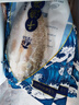 優(yōu)牧冠 新鮮冷凍海鱸魚/河鱸魚隨機 去鱗去鰓去內(nèi)臟 三去 【開背免處理】400-450g*3條 曬單實拍圖