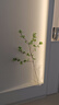 掬涵 日本瓣葉枝仿真綠植吊鐘假植物裝飾花藝擺件日式北歐禪意藝術(shù) 吊鐘馬醉木（升級款） 曬單實(shí)拍圖