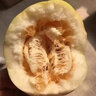澤鮮達東北香瓜精密白糖罐新鮮當季小香瓜脆甜蜜瓜特產(chǎn)小甜瓜 2斤優(yōu)選裝 曬單實(shí)拍圖