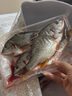 黃翅魚 黃立魚 黃墻黃蠟魚潮汕海鮮水產(chǎn)品黃腳立魚黃鰭鯛赤翅魚 3-4條1斤（去肚前500g）*2 曬單實(shí)拍圖