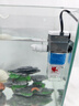 boxtech魚缸四合一過濾器養(yǎng)魚增氧過濾造浪水妖精小魚缸過濾器多功能水泵 四合一渦輪循環(huán)過濾器（中號(hào)） 曬單實(shí)拍圖