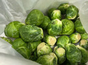 千牛優(yōu)福孢子甘藍1-5斤 新鮮蔬菜 抱子甘藍球芽甘蘭小包菜小卷心菜 2斤裝 曬單實(shí)拍圖