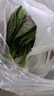 新鮮蘇子葉韓國烤肉紫蘇葉粘豆包葉即食蔬菜現(xiàn)摘菜葉非露天紫蘇 現(xiàn)摘100克(不是露天紫蘇) 曬單實拍圖