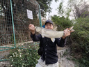 海伯25款/24款/23款阿瑞斯air微物水滴輪pro+遠(yuǎn)投路亞戶外精英elite 【23遠(yuǎn)投/競(jìng)技版】100Pro+ PG  左手型 曬單實(shí)拍圖