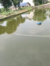 魚(yú)耀硅藻種水產(chǎn)養殖小球藻肥水膏魚(yú)蝦塘肥水穩定型活硅藻低溫硅藻藻種 買(mǎi)6袋送1袋【實(shí)發(fā)7袋】惠 曬單實(shí)拍圖