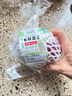 沈佳農有機紫洋蔥400g新鮮食材農場(chǎng)蔬菜圓蔥白洋蔥生吃西餐沙拉食材蔥頭 紫洋蔥 400g 曬單實(shí)拍圖