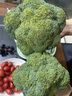 榮事達果蔬清洗機家用食材凈化機大容量洗菜機臭氧殺菌去農殘果蔬凈化多功能清洗機洗水果神器 果蔬綠10L【臭氧凈化除菌99%+提籃瀝水】 曬單實(shí)拍圖