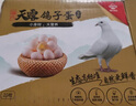 溫氏食品新鮮鴿子蛋12-40枚 谷物雜糧喂養(yǎng)土鴿蛋孕婦寶寶食材白鴿營(yíng)養(yǎng)蛋 鴿子蛋40枚 曬單實(shí)拍圖