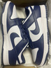 耐克（NIKE）男子NIKE DUNK LOW RETRO板鞋/復(fù)刻鞋 HF5441-107 43 曬單實(shí)拍圖