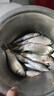 昆蟲元素餌料新品大味型餌料強(qiáng)聚魚魚餌久留魚釣魚餌大紅鯽高穿透 昆蟲元素+水果元素【高溫推薦】 曬單實(shí)拍圖