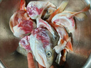 鯨甘郎三文魚(yú)頭生鮮新疆三文魚(yú)邊角料新鮮碎肉煎烤煲湯國產(chǎn)海鮮水產(chǎn)10斤 三文魚(yú)頭 凈重2斤裝（約2-4只） 曬單實(shí)拍圖