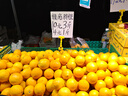 伊弗頓 NB2L電池適用佳能Canon EOS350D 400D S30 S40 S45 S50 單電池 曬單實(shí)拍圖