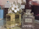 莫杰（MARC JACOBS） 雛菊女士淡香水 送禮花果香調女士淡香氛 50ml 曬單實(shí)拍圖