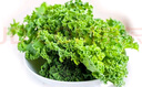 千牛優(yōu)福新鮮羽衣甘藍(lán) 嫩葉kale甘蘭健身榨汁蔬菜西餐食材蔬菜沙拉 4斤 曬單實(shí)拍圖