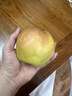 千園九味【順豐到家】山西隰縣玉露香梨新鮮水果送禮禮盒小西天特產(chǎn)整箱 推薦9枚優(yōu)選特大果（凈重8.5斤） 曬單實(shí)拍圖