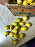 張小壯廣西欽蜜9號(hào)黃金百香果九號(hào)新鮮生鮮白香果水果 純甜百香果 嚴(yán)選2.8-3斤（1斤約10-13個(gè)） 曬單實(shí)拍圖